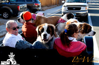 SaintsParade2013_internet-12