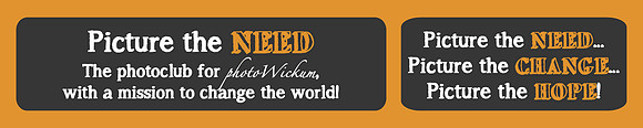 picturetheneedbanner