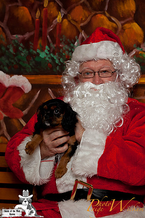 santa-photos-internet-68