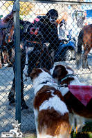 SaintsParade2013_internet-15