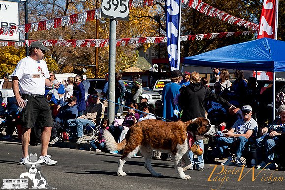 SaintsParade2013_internet-38