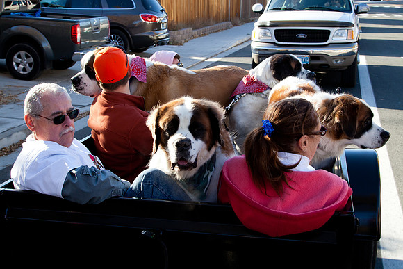 SaintsParade2013-12