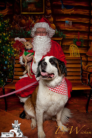 santa-photos-internet-83