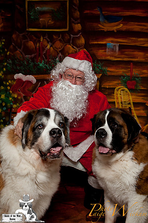 santa-photos-internet-49