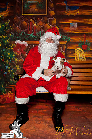 santa-photos-internet-7
