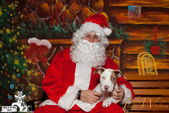 santa-photos-internet-8