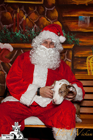 santa-photos-internet-9