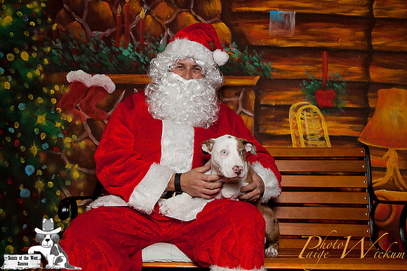 santa-photos-internet-10