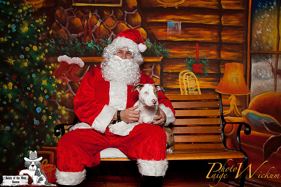 santa-photos-internet-11