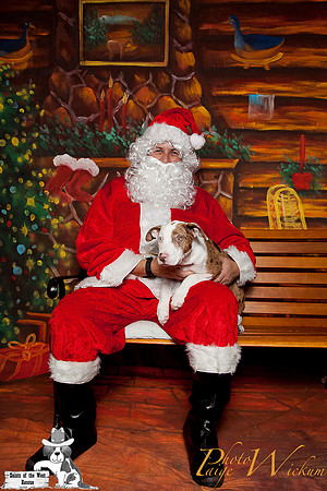 santa-photos-internet-12