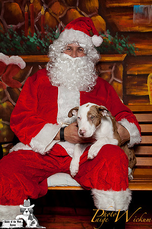 santa-photos-internet-13