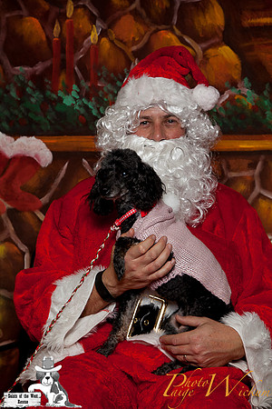 santa-photos-internet-16