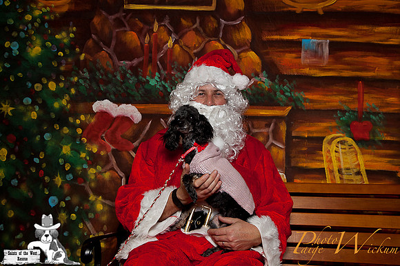 santa-photos-internet-18