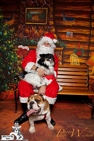 santa-photos-internet-21