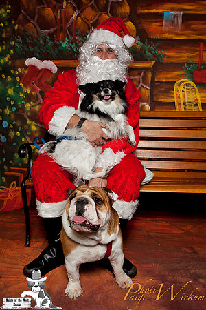 santa-photos-internet-23