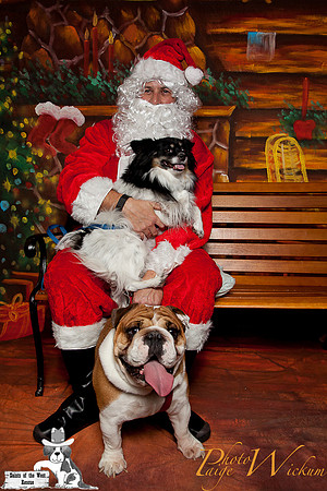 santa-photos-internet-24