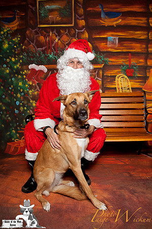 santa-photos-internet-42