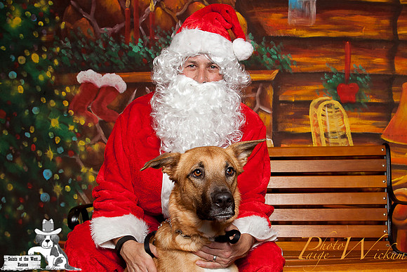 santa-photos-internet-43