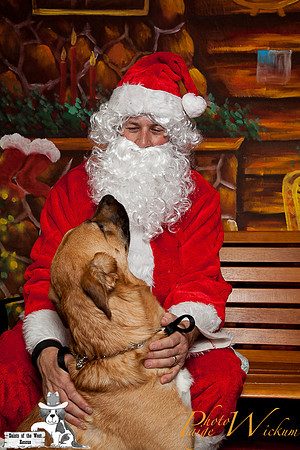 santa-photos-internet-44