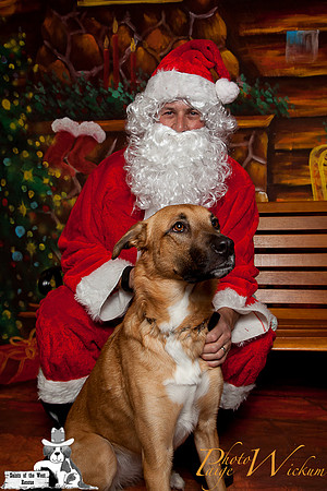 santa-photos-internet-45