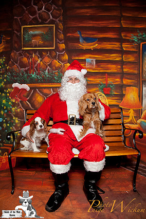 santa-photos-internet-46