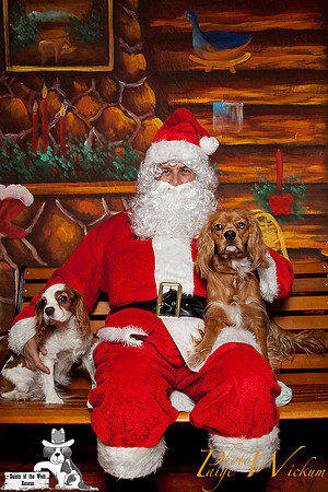 santa-photos-internet-47