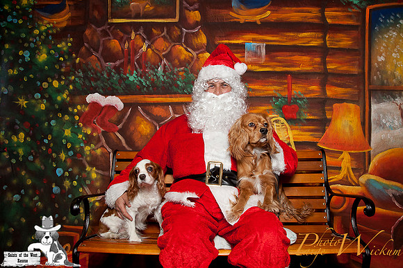 santa-photos-internet-48