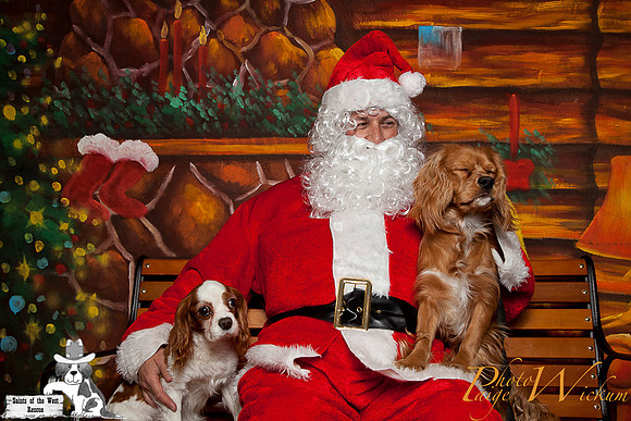 santa-photos-internet-49