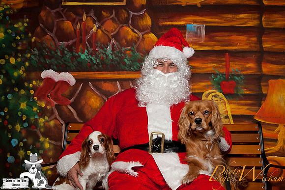 santa-photos-internet-50