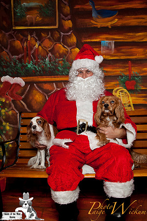 santa-photos-internet-51