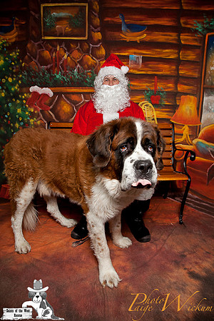 santa-photos-internet-52