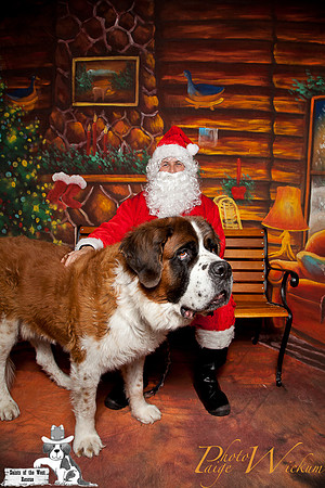 santa-photos-internet-53