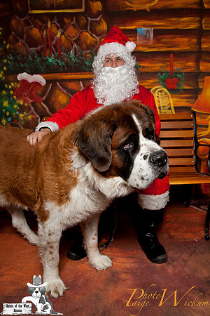 santa-photos-internet-54