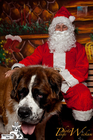 santa-photos-internet-55