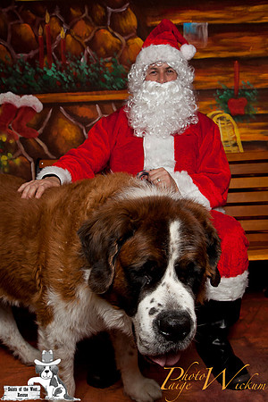 santa-photos-internet-56