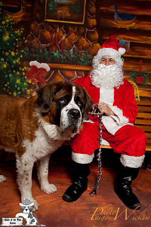 santa-photos-internet-57