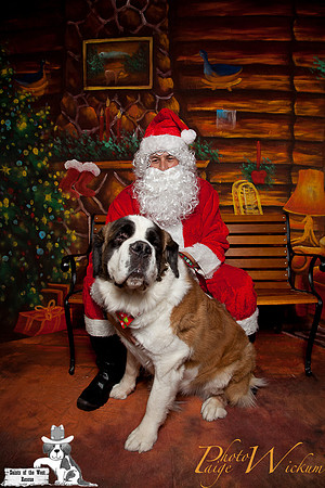 santa-photos-internet-59