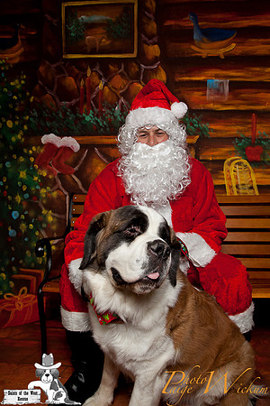 santa-photos-internet-60
