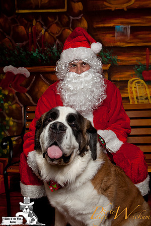 santa-photos-internet-61