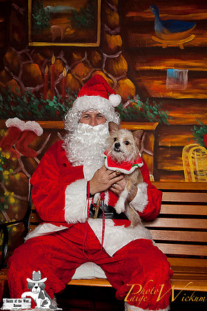 santa-photos-internet-67