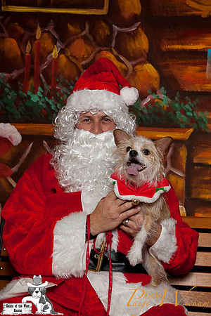 santa-photos-internet-68