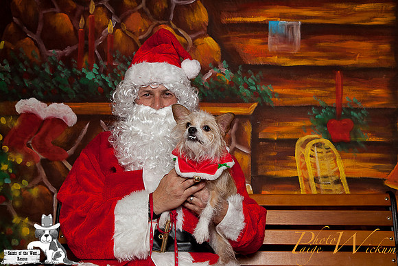 santa-photos-internet-69