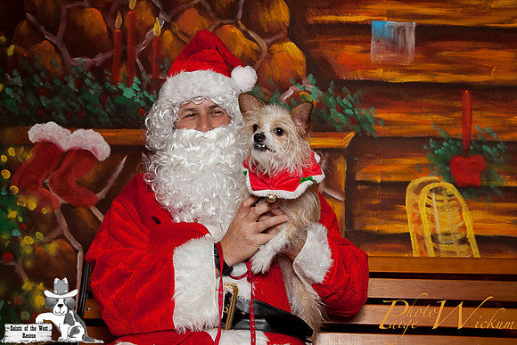 santa-photos-internet-70