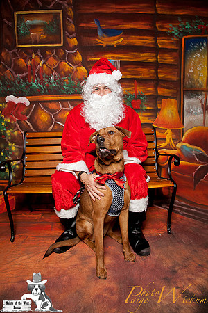 santa-photos-internet-129