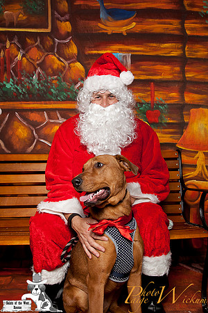 santa-photos-internet-130