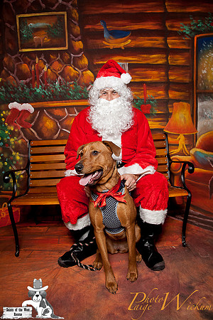 santa-photos-internet-131