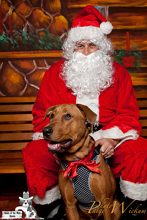 santa-photos-internet-132