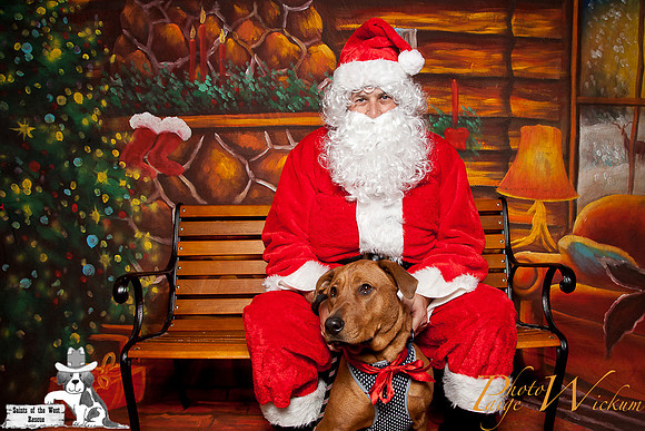 santa-photos-internet-133