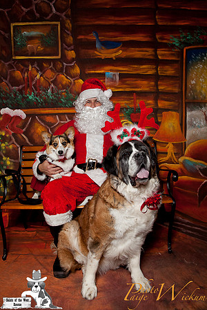 santa-photos-internet-147