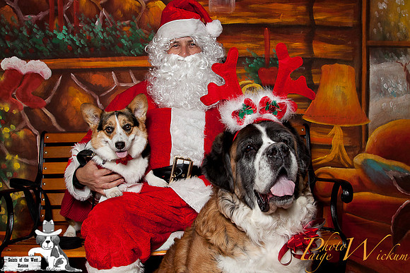 santa-photos-internet-148